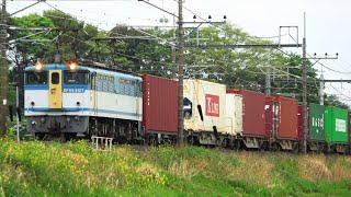 EF65 2127 カラシ 海コン さよならEF65 2117 EH500 7+DD200 901 2022.4.24