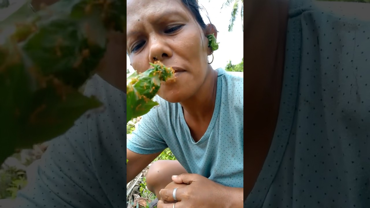 Daring Crunch: Trying Edible Filipino Ants for the First Time – Wild Insect Snack Gone Hilarious! 😅