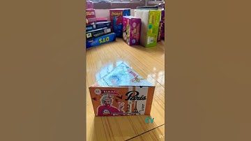 Paris | Rajkala fireworks #diwali #diwali2024 #sivakasi #crackers #fireworks #firecracker #shorts