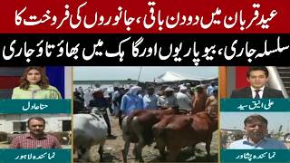 Only Two Days Left Until Eid-ul-Adha | Latest Situation from Lahore and Peshawar Cattle Markets