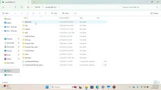 Why Your Files Are Missing in Windows 11/10