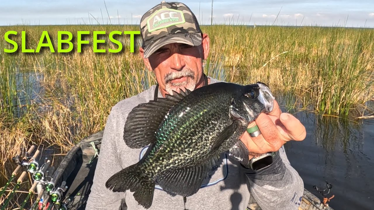 Фестиваль ловли окуня на озере Окичоби: более 100 особей окуня, ловля на джиг в зарослях травы.