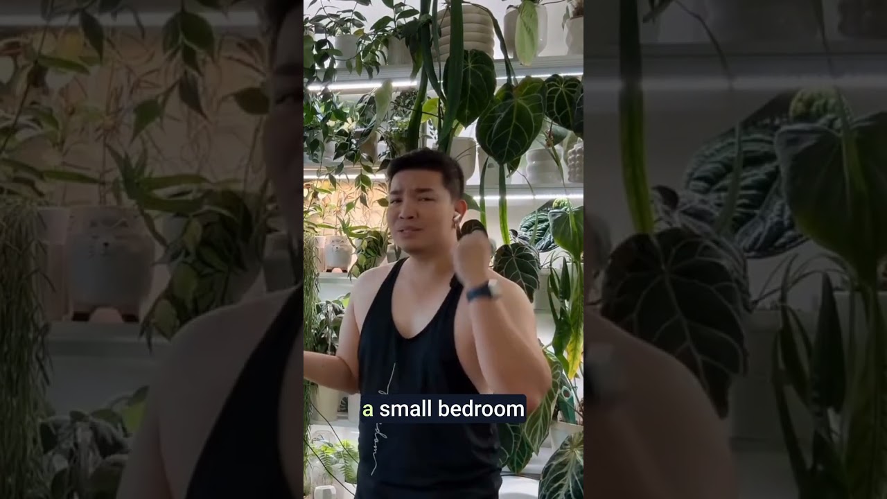 My Daily Plant Checkup Routine: Preventing Pests! 🕵️‍♀️🌿