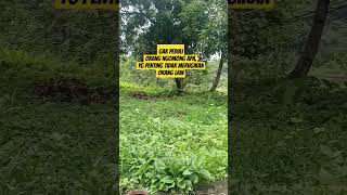 Download Lagu GHIBAH MP3
