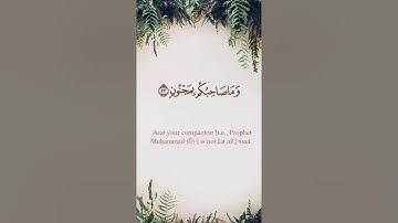 سورة التكوير مع ترجمة ومعاني الكلمات | الشيخ أحمد طالب حميد