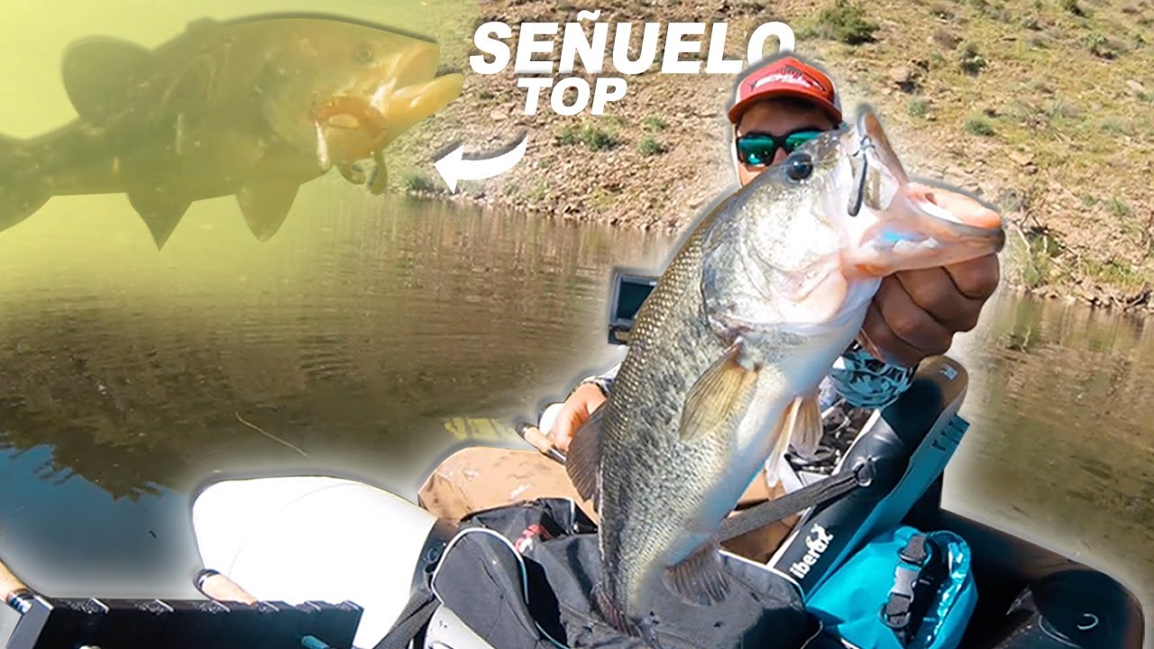 ¡Los BLACK BASS PICABAN al CANGREJO!  | 𝙎𝙐𝙍 𝙁𝙄𝙎𝙃𝙄𝙉𝙂 𝙏𝙍𝙄𝙋 - 𝙀𝙥. 3