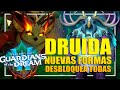 Cmo conseguir todas las nuevas formas de druida  dragonflight 102