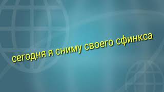 ДЮК (СФИНКС) МОЙ КОТ ДЮК (СФИНКС) МОЙ КОТ