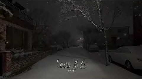 جزء 4 | تلاوة هادئة آيات من سورة القصص بصوت جداً جميل  - محمد بو حسون ✨ .
