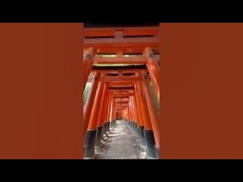 伏見稲荷大社 Fushimi Inari shrine