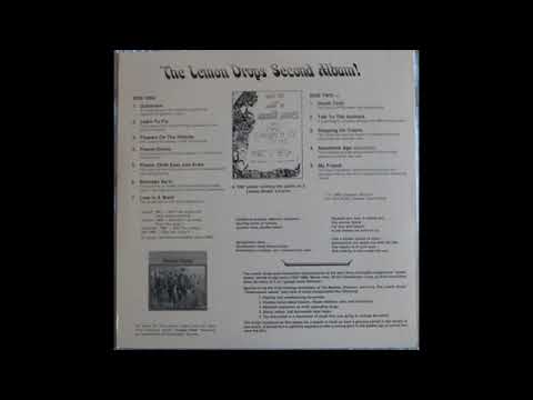 The Lemon Drops — Lemon Drops - Crystal Pure (Music Video) | Dork