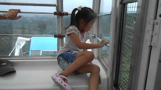 DSCN0568 摩天輪