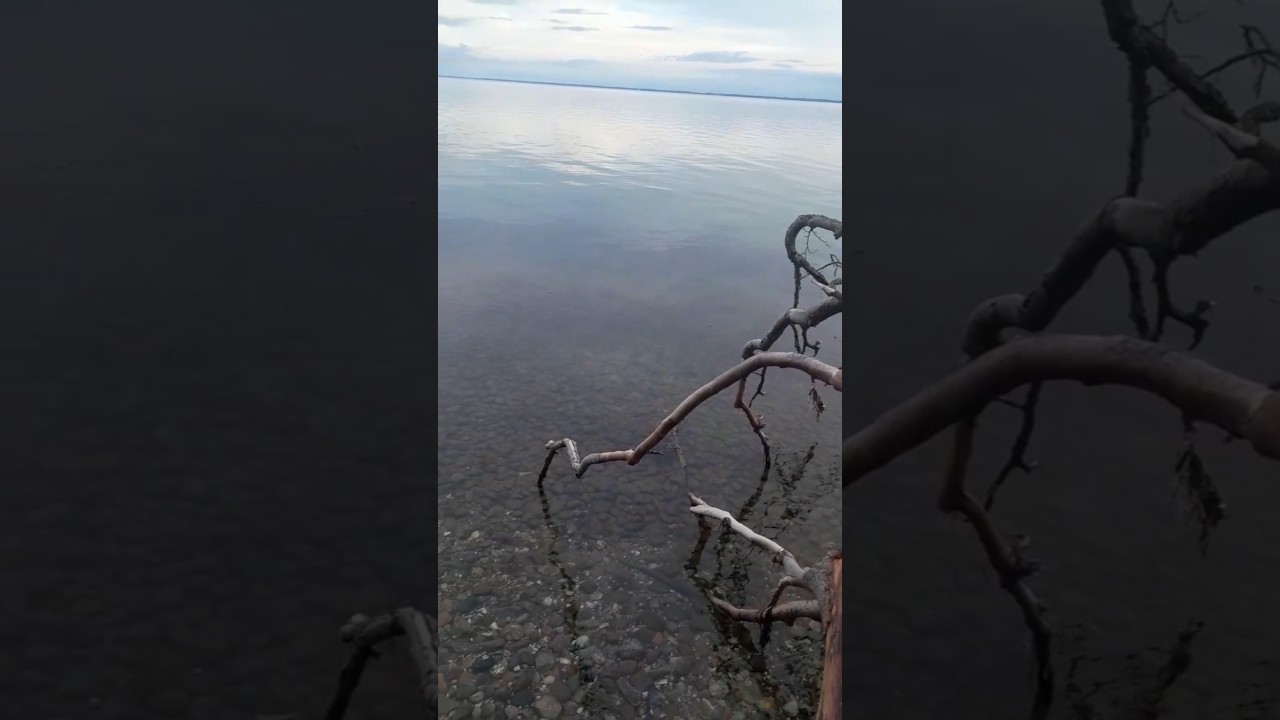 Never seen ocean so calm. 