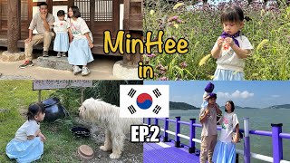 Minhee Và Hàn Quốc - Ep.2 Đảo Tím, Juknokwon Em Bé Nói Tiếng Anh Minhee Growwithminhee