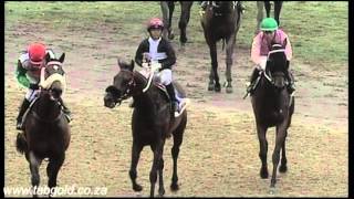 20151110 Greyville Race 8 won by TEN GUN SALUTE