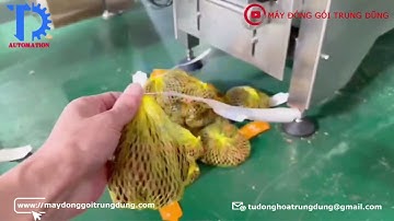 Máy đóng gói cân định lượng 10 đầu cân dạng túi lưới