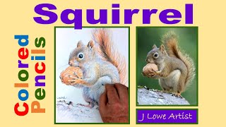 Celebrity HOW TO DRAW A SQUIRREL WITH COLORED PENCILS Step by Step Net Worth