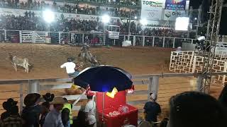 Cowboy perdeu pro bezerro na Copa ADC Kimberly/Bulldog(2)