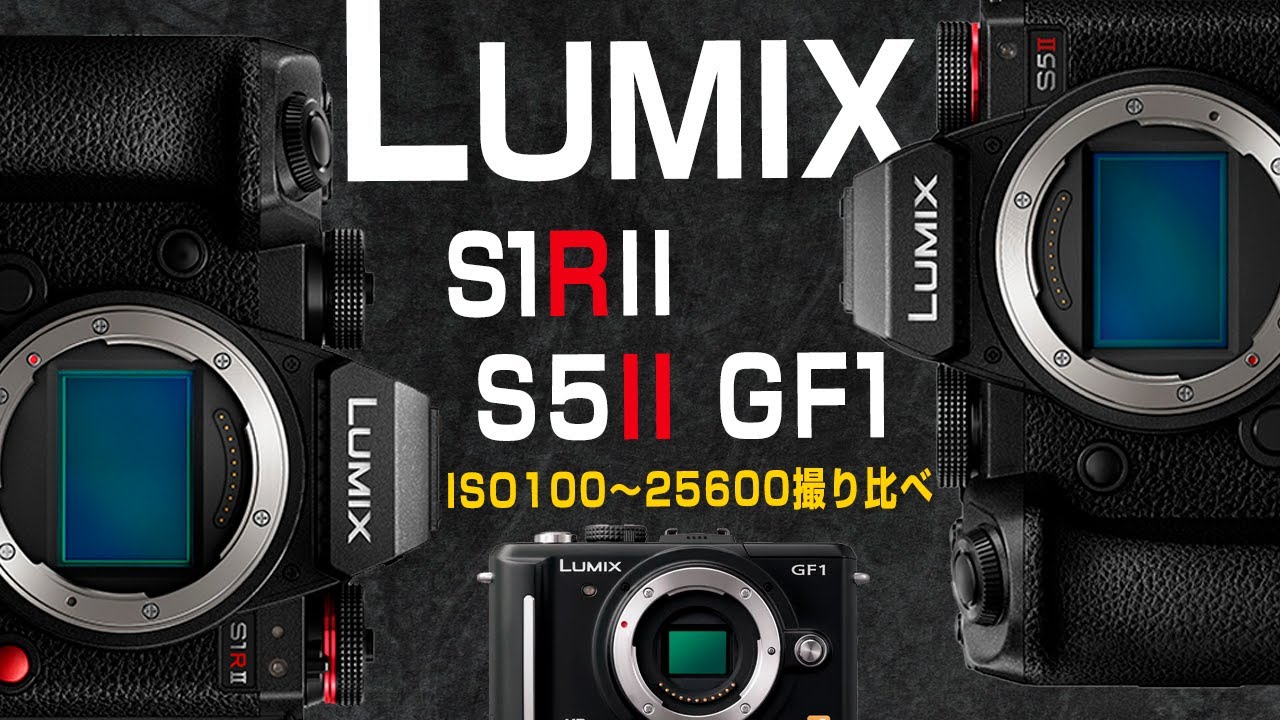 LUMIX S1RII S5II GF1 ISO100~25600撮り比べ