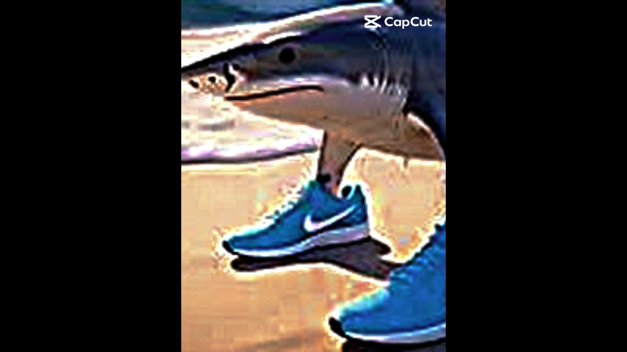 italian brainrot meme X montero edit 