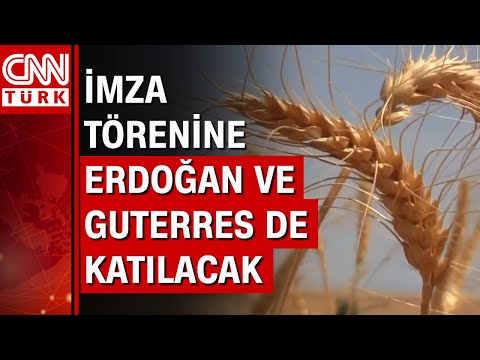 İstanbul'da tahıl sevkiyatı anlaşması!