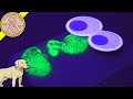 Alien Slime Lab Glow In The Dark Experiments - Dissecting Aliens!