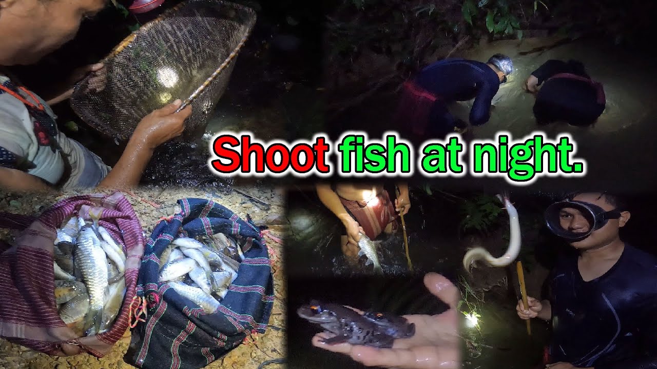 Ловите рыбу ночью.