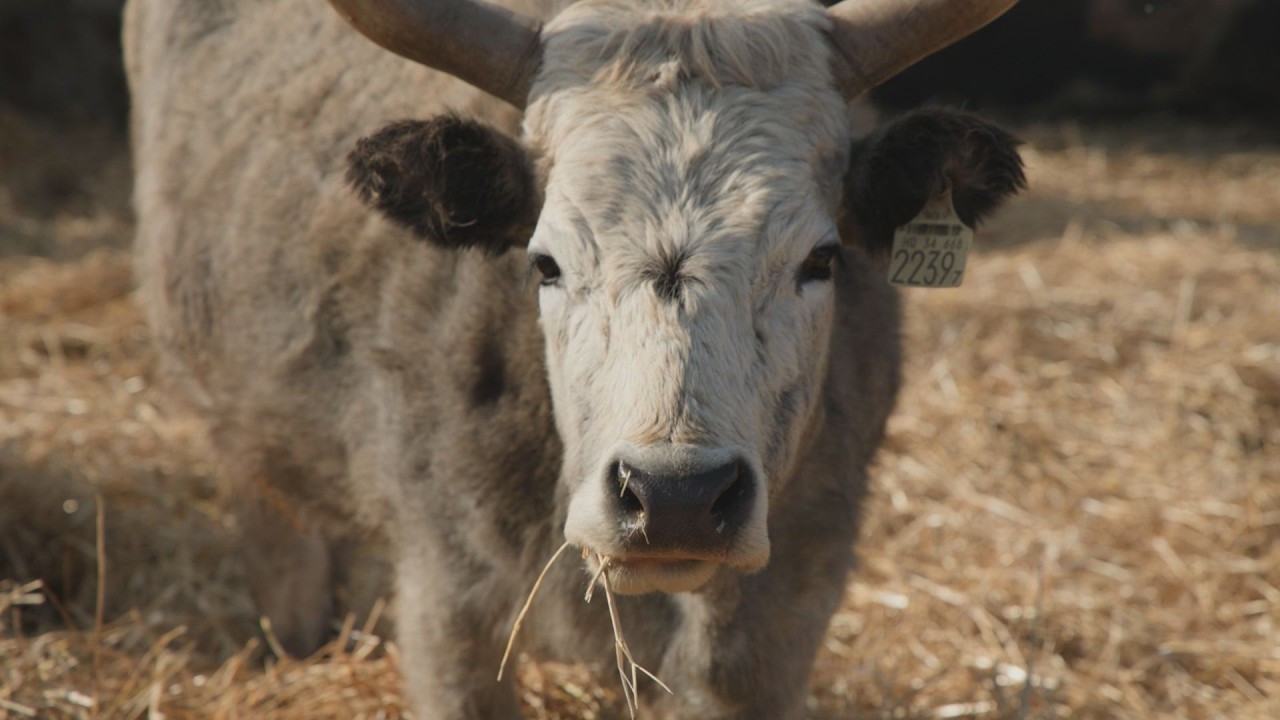 M5 TV – Erdei utakon – 2026/10. adás – 2026.03.08.