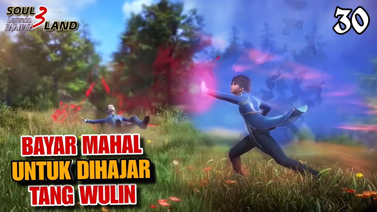 Bayar Mahal Untuk DIHAJAR TANG WULIN || SOUL LAND 3 Novel 30