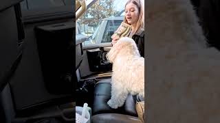 Blayke Gets A Treat Before School