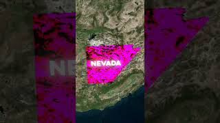 Top 5 States With The Most Tax Friendly Policies For Retirees