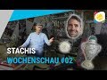 Stachis Wochenschau #02 mit Nicolas Kiefer | myTennis