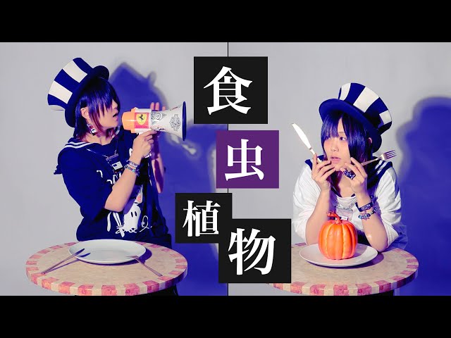 【食虫植物 歌】理芽 / RIM 食べなくちゃ 〜想像で実写MV作ってみた〜 (なすお☆カバー) nasuo full cover Carnivorous Plant のサムネイル