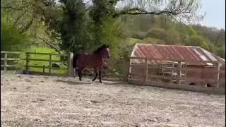 Advert reference - 407774