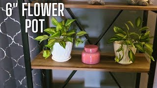YNNICO 6 inch Plant Pots 5 Pack Flower Pots Outdoor Indoor