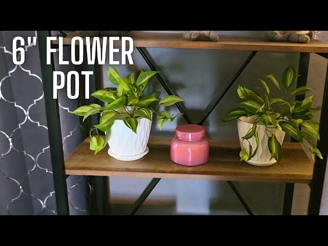 YNNICO 6 inch Plant Pots, 5 Pack Flower Pots Outdoor / Indoor - YouTube