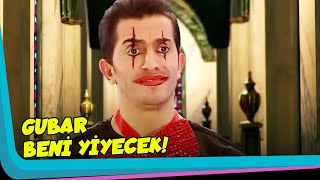 Şoker, Gubardan Köşe Bucak Kaçtı - Oyuncaklar Ülkesi