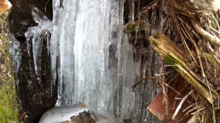 Icicle Formation