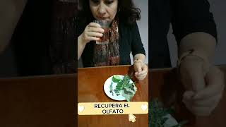 Terapia Para Recuperar El Olfato