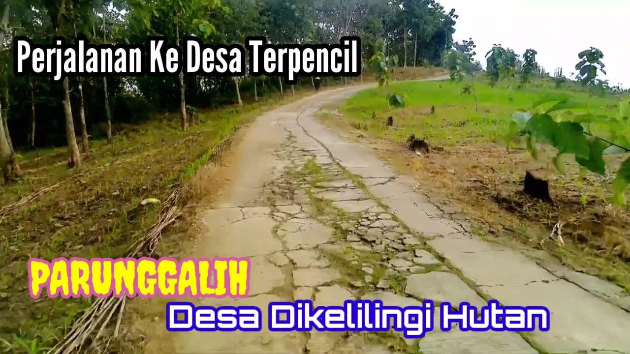 Sensasi Jalan Ke Desa Parunggalih II 5 Km Melewati Hutan. Jalan Rusak Tapi Asyik