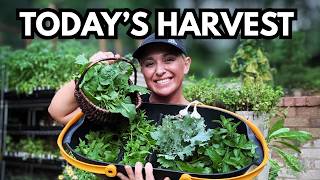 Greenstalk Garden Tour + Harvest | Spring Garden Update