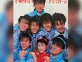 The Checkers(チェッカーズ)愛と哀しみのラストショー 1986