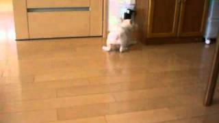 20100613-1.mp4