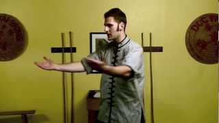 Tai Chi Technique - Repulse Monkey Exercise
