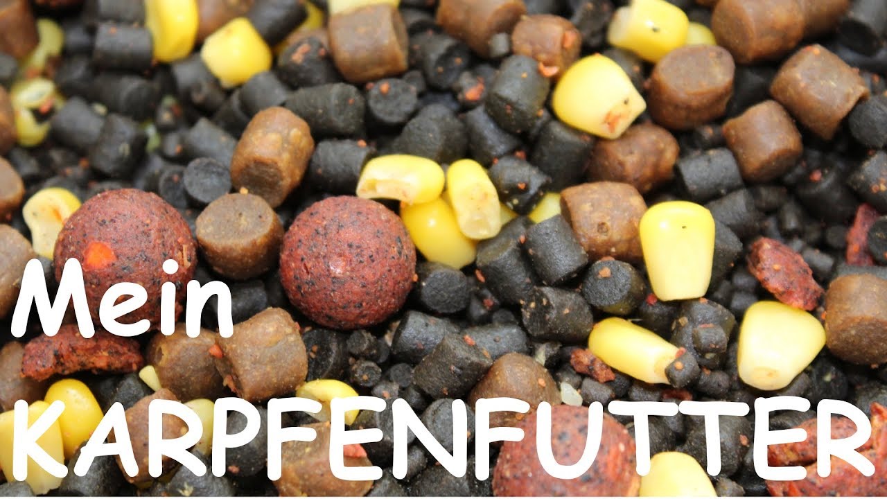 Karpfenfutter mit Boilies Mais und Pellets YouTube