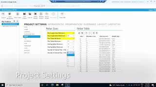Overview of DS Foundation Design Suite Mat3D Project Setting