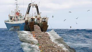 Sea Harvest When The Ocean Gives Everything