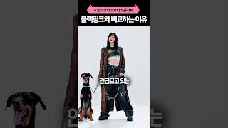 코르티스 콘서트 논란에 블랙핑크 언급되는 이유