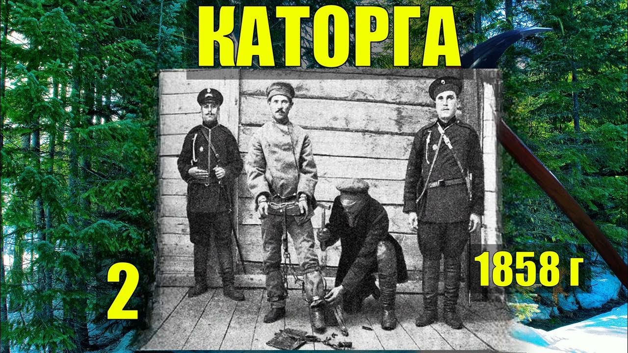 Коляныч тайга аудио рассказы. Случай в тайге. Рассказы коляныча про тайгу слушать. Каляныч тайга 2. Рассказы про жизнь в тайге.