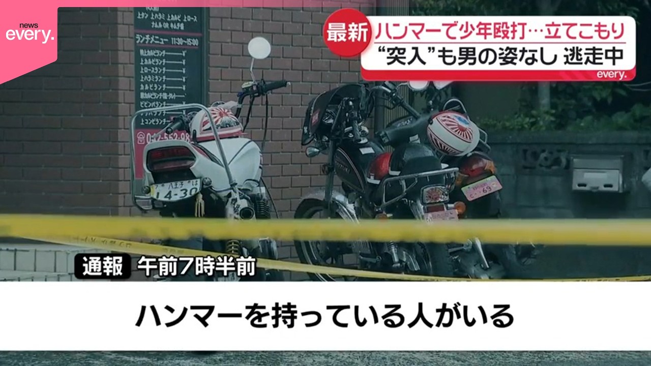 活動歴および当時の関連ビジュアル記録